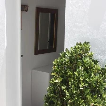 La Moradita Vejer de la Frontera Exterior foto